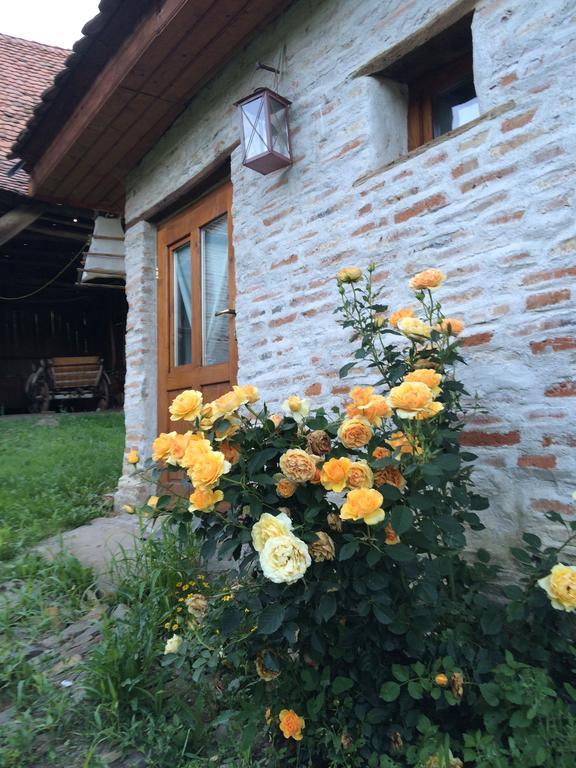 Dominic Boutique - Gardener'S Cottage Cloasterf Екстер'єр фото